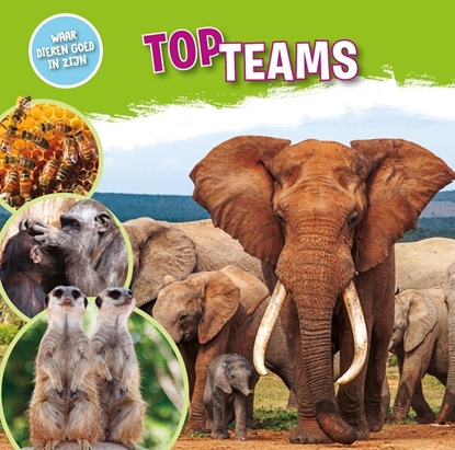 Afbeeldingen van Waar dieren goed in zijn! Topteams
