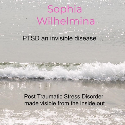 Afbeeldingen van PTSD an invisible disease ...