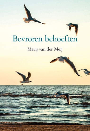 Afbeelding van Bevroren behoeften