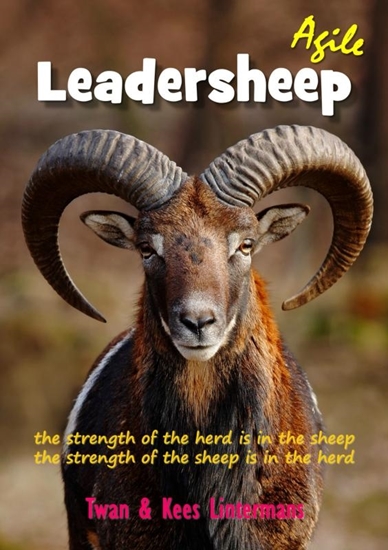 Afbeelding van Agile leadersheep