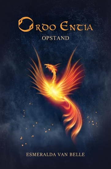 Afbeelding van Ordo Entia