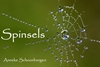 Afbeelding van Spinsels