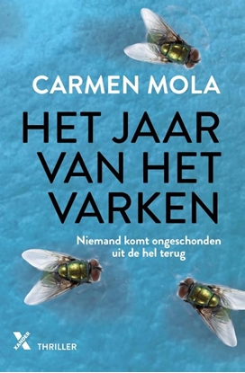 Afbeeldingen van Elena Blanco Het jaar van het varken