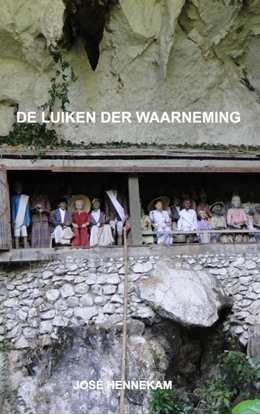 Afbeeldingen van De Luiken der Waarneming