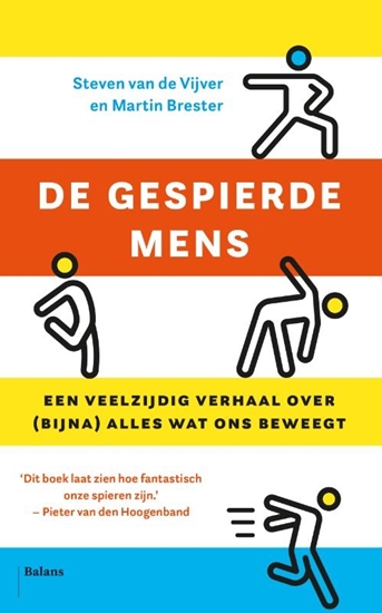 Afbeelding van De gespierde mens