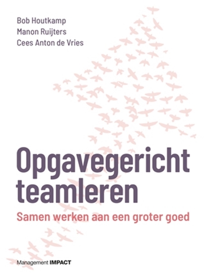 Afbeelding van Opgavegericht teamleren