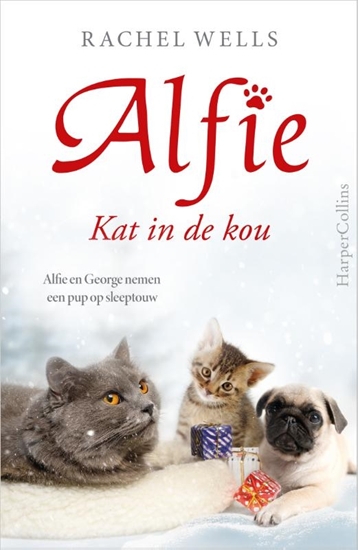 Afbeelding van Alfie Kat in de kou