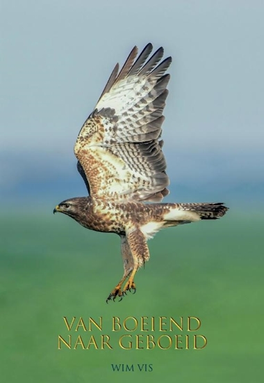 Afbeelding van Van Boeiend naar Geboeid