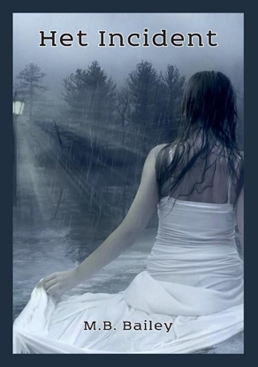Afbeeldingen van Het Incident