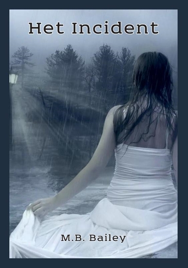 Afbeelding van Het Incident