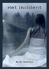 Afbeelding van Het Incident