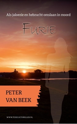 Afbeeldingen van Texelse thrillers Furie
