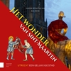 Afbeelding van Het wonder van Sint-Maarten