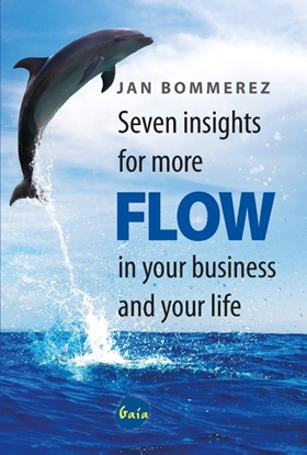 Afbeeldingen van Seven insights for more flow in your business and your life
