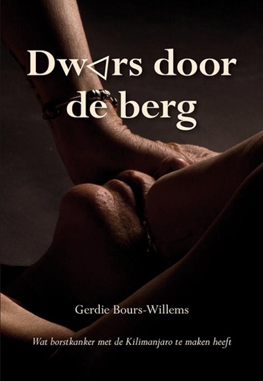 Afbeelding van Dwars door de berg