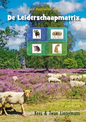 Afbeeldingen van De Leiderschaapmatrix
