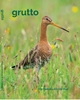 Afbeelding van Grutto