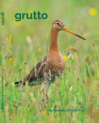 Afbeeldingen van Grutto