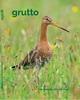 Afbeelding van Grutto