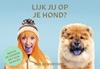 Afbeelding van Lijk jij op je hond?