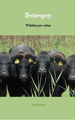 Afbeeldingen van Dreamgirls