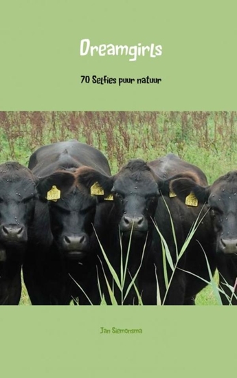 Afbeelding van Dreamgirls