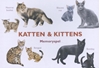Afbeelding van Katten & Kittens