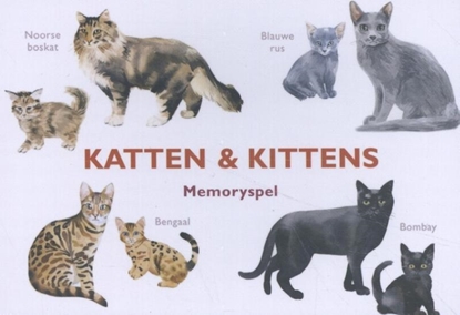 Afbeeldingen van Katten & Kittens