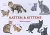 Afbeelding van Katten & Kittens