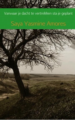 Afbeeldingen van Vanwaar je dacht te vertrekken sta je geplant