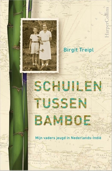 Afbeelding van Schuilen tussen bamboe