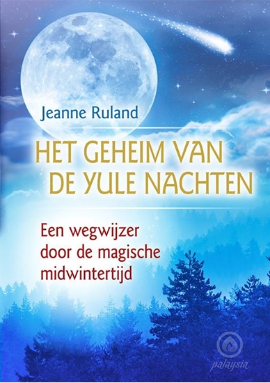Afbeelding van Het geheim van de Yule nachten