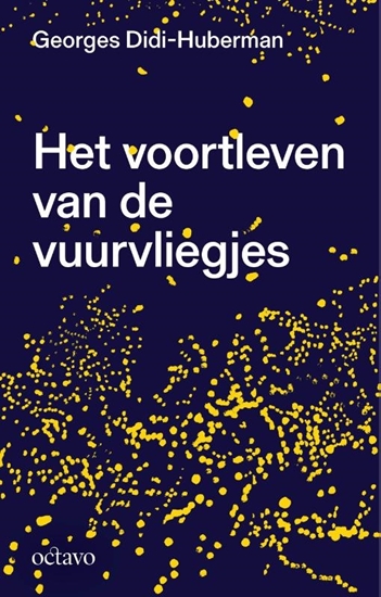 Afbeelding van Het voortleven van de vuurvliegjes