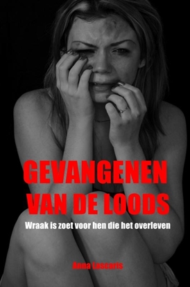 Afbeeldingen van De loods
