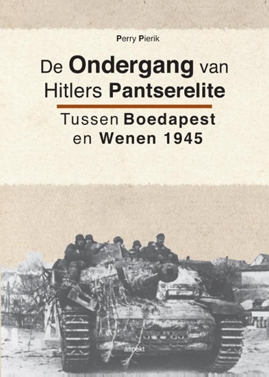 Afbeelding van De ondergang van Hitlers pantserelite