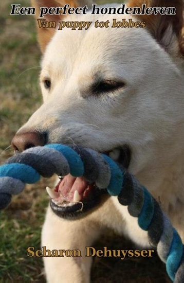 Afbeelding van Een perfect hondenleven