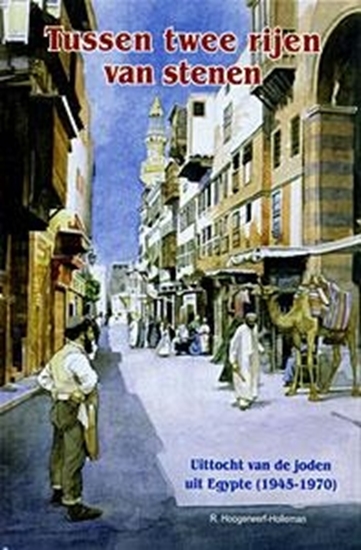 Afbeelding van Tussen twee rijen van stenen