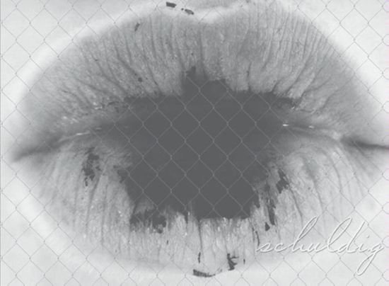 Afbeelding van Schuldig