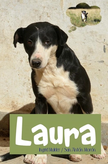 Afbeelding van Laura