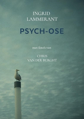 Afbeeldingen van Psych-ose