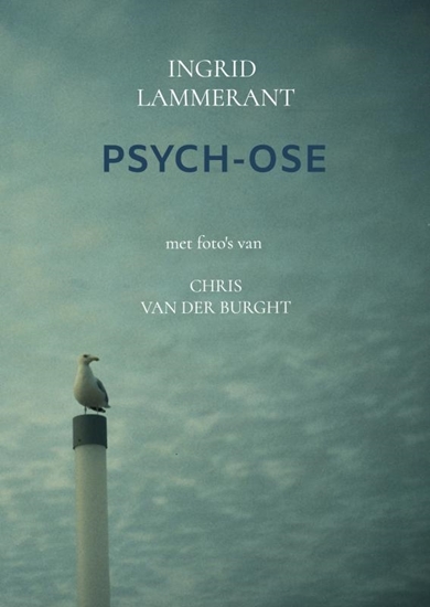 Afbeelding van Psych-ose