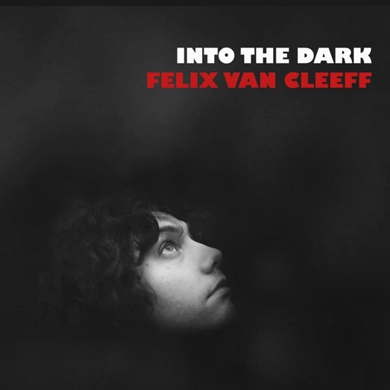 Afbeelding van Into the dark