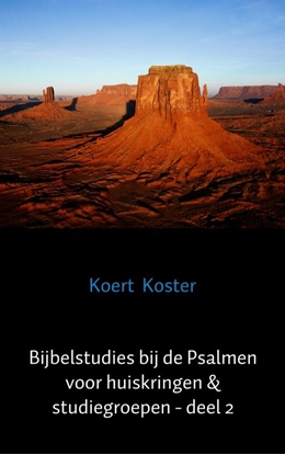 Afbeeldingen van Bijbelstudies bij de Psalmen voor huiskringen & studiegroepen - deel 2