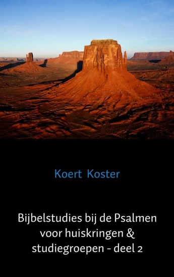 Afbeelding van Bijbelstudies bij de Psalmen voor huiskringen & studiegroepen - deel 2
