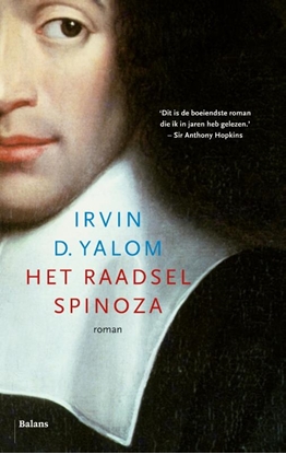 Afbeeldingen van Het raadsel Spinoza