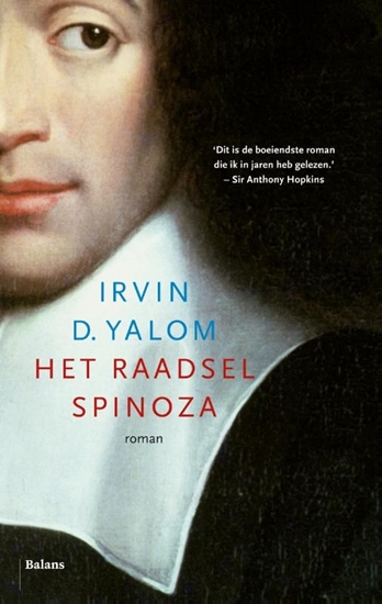 Afbeelding van Het raadsel Spinoza