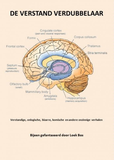 Afbeelding van De verstand verdubbelaar