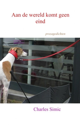 Afbeeldingen van Aan de wereld komt geen eind