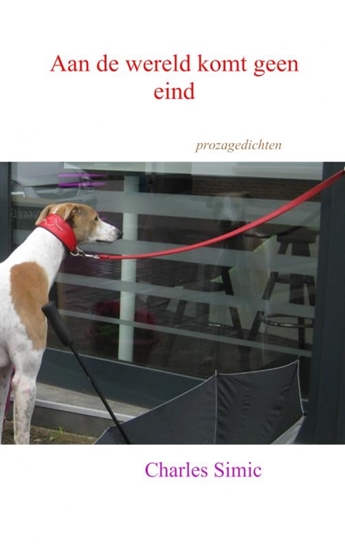 Afbeelding van Aan de wereld komt geen eind