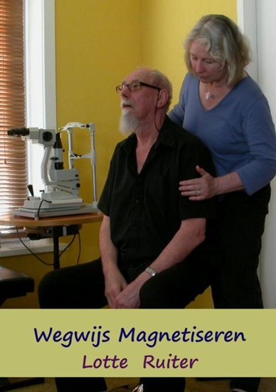 Afbeelding van Wegwijs magnetiseren